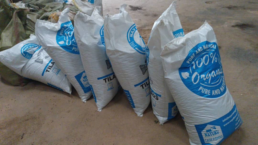 Feed Production - Image 1